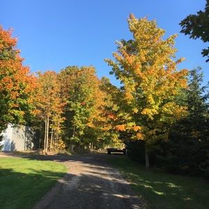 Meet your Posher, Jerry